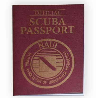 Curso de pasaporte